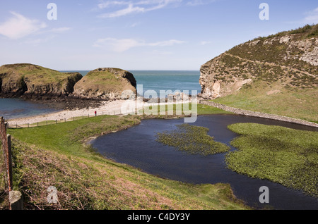 View to Ynys y Fydlyn and freshwater pool on the coast. Isle of Anglesey (Ynys Mon), North Wales, UK, Britain. Stock Photo