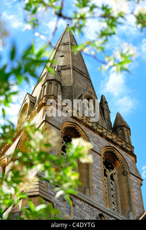 St Michael's And All Angels - Exeter - Devon - Peregrine nest site Stock Photo