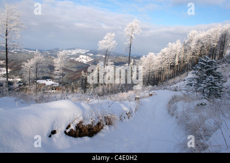 Beskid Zywiecki (near Hala Krupowa) in winter, Poland, Carpathians Stock Photo