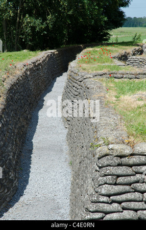 Preserved First World War trench, Trench of Death, Flanders Stock Photo
