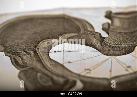 Illustration of the Human Pelvis copyright 1822 Stock Photo