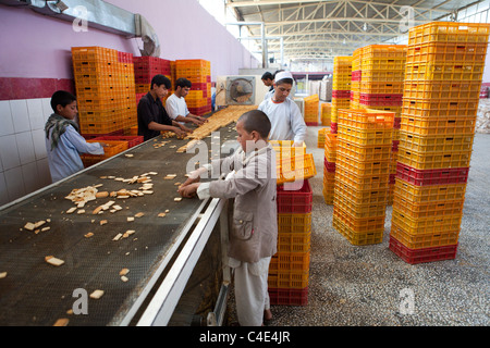 biscuit factory in herat, Afghanistan Stock Photo