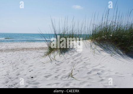 Gulf beaches along Florida's Panhandle at St. Joseph Peninsula State Park. Stock Photo