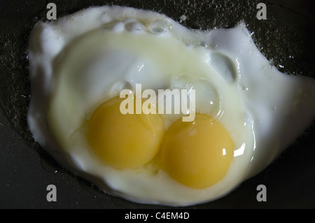 Double-yolked hen's egg in frying pan Stock Photo