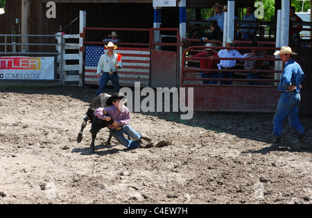 Teenage boy wrestles calf at High School Rodeo. Stock Photo