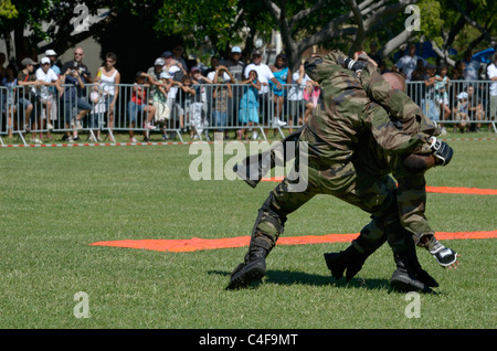 Show of French forces paratroopers in La Reunion Stock Photo