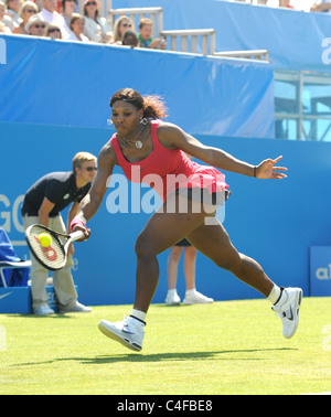 Serena Williams during her first round victory over Tsvetana Pironkova at the Aegon International tennis tournament Stock Photo