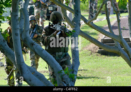 Show of French forces paratroopers in La Reunion Stock Photo