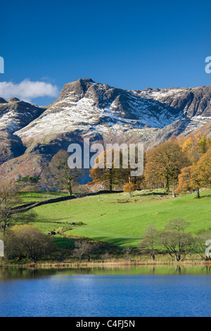 Snow dusted Langdale Pikes viewed from the shores of Loughrigg Tarn, Lake District National Park, Cumbria Stock Photo