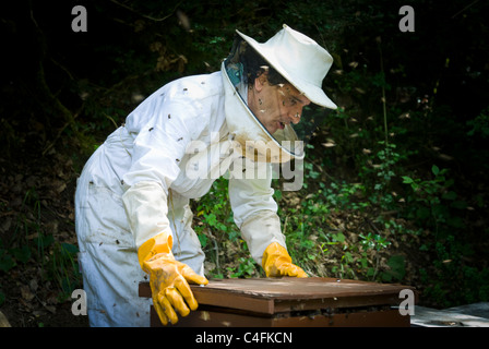 Beekeeping in a small exploitation of some twenty beehives, Anso, Huesca, Spain, Europe. Stock Photo