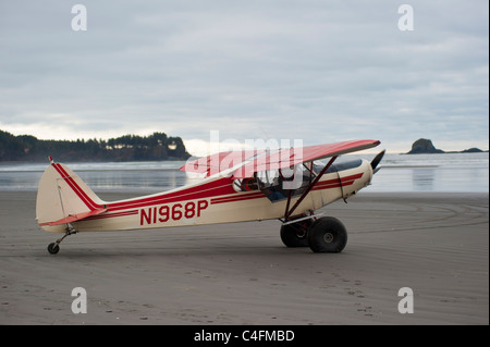 Piper Super Cub on the beach at Hinchinbrook Island, Alaska- 2011 Valdez Fly-in, Alaska Stock Photo