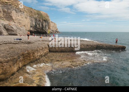 Dancing Ledge, Swanage, Dorset, UK. July. Stock Photo