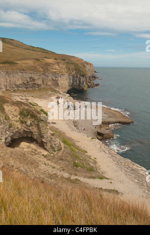 Dancing Ledge, Swanage, Dorset, UK. July. Stock Photo