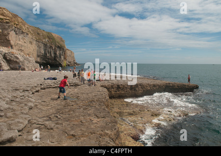 Dancing Ledge, Swanage, Dorset, UK. July. Stock Photo