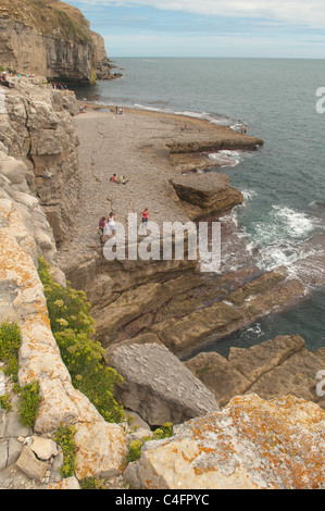 Dancing Ledge, Swanage, Dorset, UK. July. Stock Photo