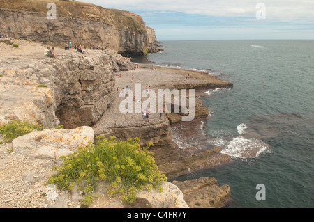 Dancing Ledge, Swanage, Dorset, UK. July. Stock Photo