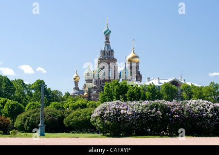 Russia St Petersburg Field of Mars war memorial park with Church on the Spilled Blood or Resurrection in background blue sky Stock Photo