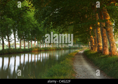 the Canal du Midi at dawn near Castelnaudary, Aude, Languedoc-Roussillon, France Stock Photo