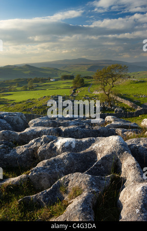 Ribblesdale , Yorkshire Dales Stock Photo - Alamy