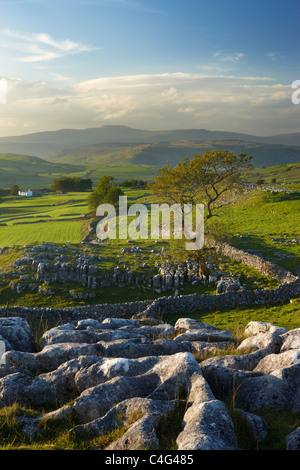 Winskill Stones, Ribblesdale, Yorkshire Dales National Park, England, UK Stock Photo