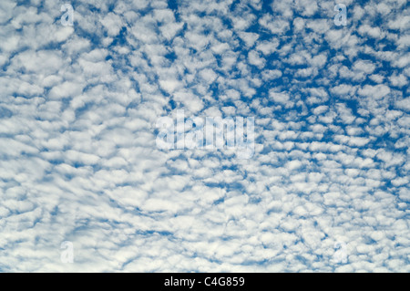 A mackerel sky Altocumulus cloud formation Stock Photo