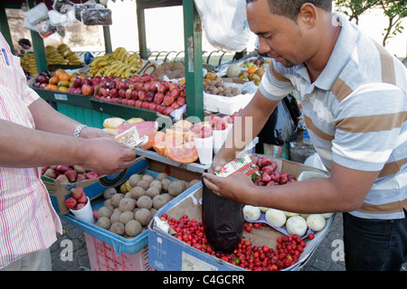 Santo Domingo Dominican Republic,Ciudad Colonia Zona Colonial,Calle Las Mercedes,fruit fruits stand,market,vendor vendors seller,stall stalls booth de Stock Photo