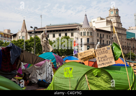 Dog at Protest camp at Placa de Catalunya, Barcelona, Spain. Stock Photo