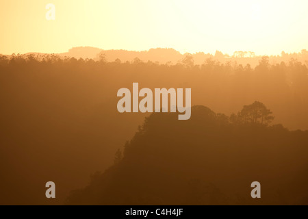 Simola Golf Resort at Sunset, Knysna, South Africa Stock Photo