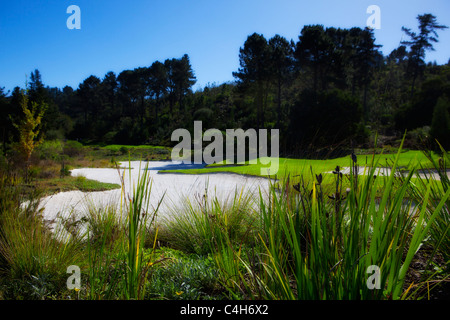 Simola Golf Resort, Knysna, South Africa Stock Photo