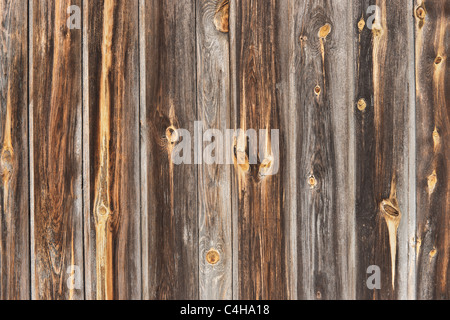 Detailansicht einer Holzwand | Detail photo of a wooden wall Stock Photo