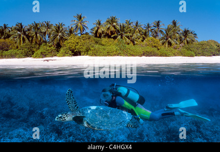 Over under water split image, scuba diver swimming with Loggerhead sea turle (Caretta caretta), Maldives islands, Indian ocean Stock Photo