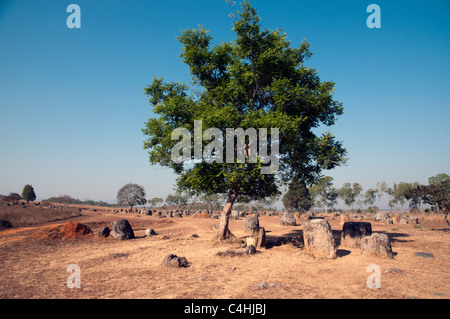View at sunrise of the famous plain of jars in Laos Stock Photo