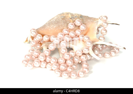 Pearl necklace and beautiful seashell, isolated on white
