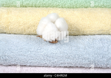 Different shades of towels and Stem of ripe cotton Stock Photo