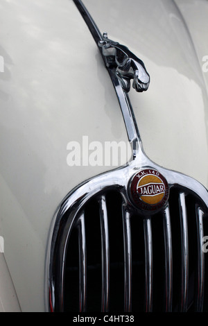 A crafted hood mascot ornament of an old Jaguar car