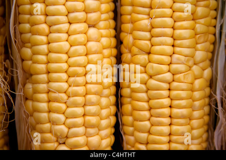 A close up to corncobs on a counter in an open marked place Stock Photo