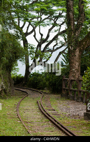 Old train tracks, empty forest railway, forest tram, timber line, logging railway or logging railroad track, wandering through forest, Hualien, Taiwan Stock Photo