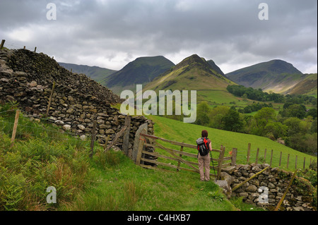 Scope End rises up from Newlands Valley in the Lake District with Hindscarth Behind & Robinson to the right Stock Photo