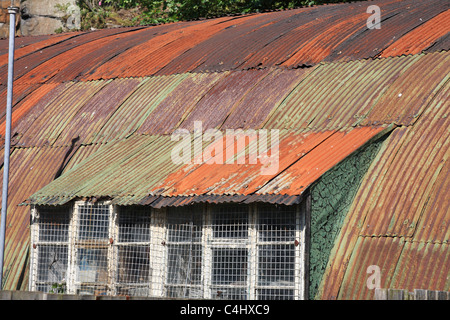 Rusting corrugated iron shed Craster, Northumberland, England, UK Stock Photo