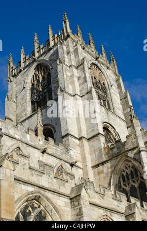 The clocktower of St Mary's Church, Beverley, East Riding of Yorkshire, England, UK Stock Photo