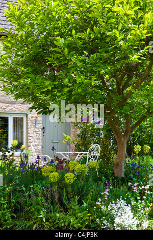 A pretty English country front garden in the Cotswolds in spring or early summer Stock Photo