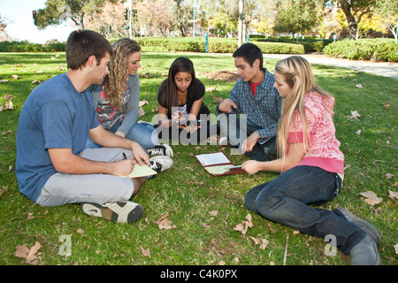 Multi ethnic Ethnically diverse group teens study together mobile phone iPhone devices iPads nature,natural surroundings young person people Myrleen Pearson Stock Photo