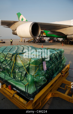 eva airlines baggage