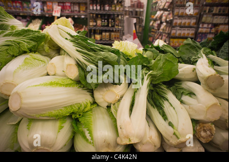 Bok choy and nappa are seen in a grocery store in New York on Friday, June 17, 2011. (© Richard B. Levine) Stock Photo
