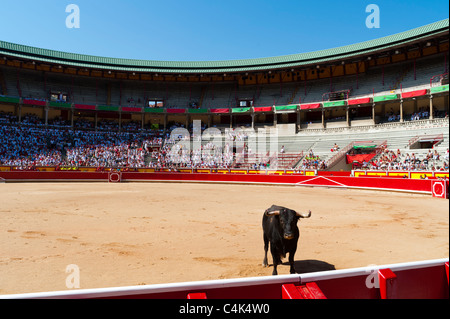 'Festival de Recortadores' (Trimmers Festival), San Fermín street-partying, Pamplona, Navarra (Navarre), Spain, Europe. Stock Photo