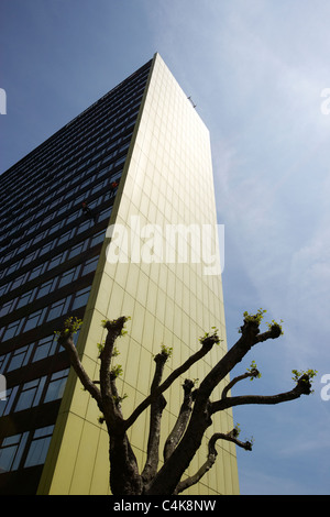 Portland tower with tree in Manchester UK Stock Photo