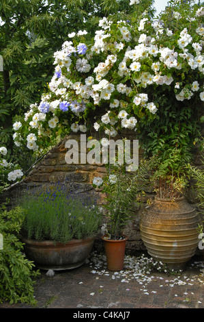 A portrait image of an English country garden with lots of colorful flowers draped over a tall stone wall Stock Photo