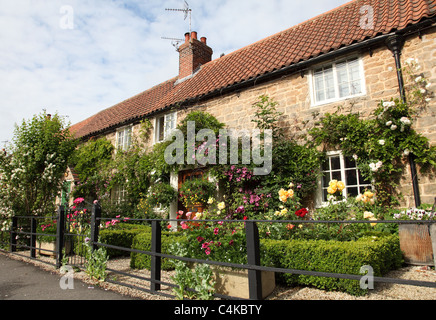 Cottages in the village of Papplewick, Nottinghamshire, England, U.K ...