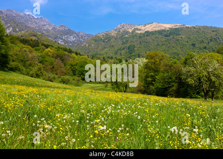 The Belluno Dolomites National Park (Parco Nazionale delle Dolomiti), Villabruna near Feltre, Vento province, Italy, Europe Stock Photo