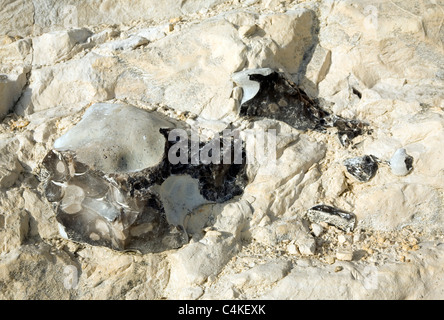 Close up of flints embedded in chalk rock Stock Photo